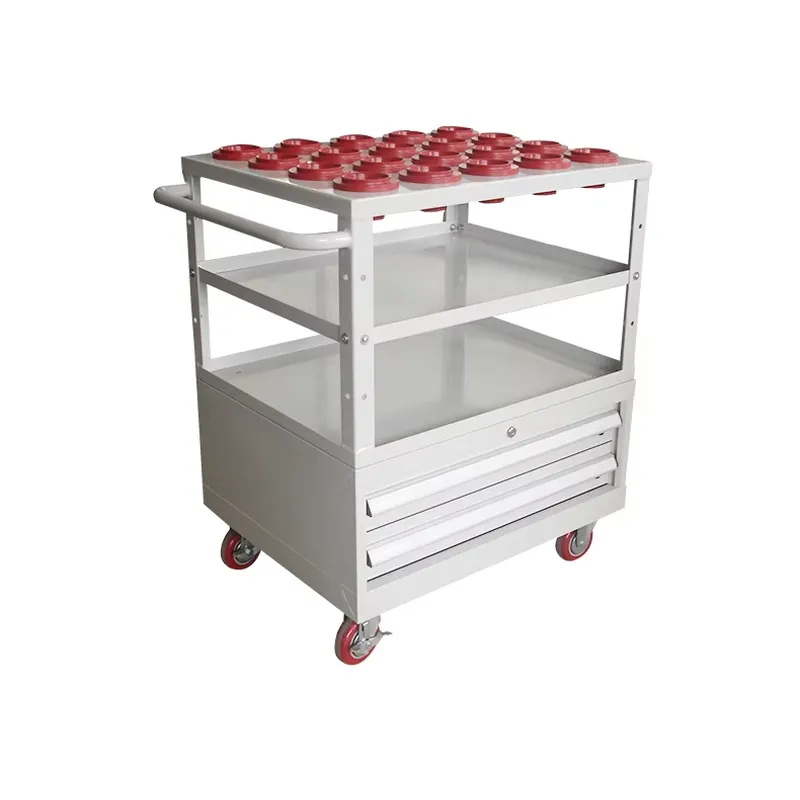 Wytrzymały wózek warsztatowy d – Workshop Tools Cabinet recenzja i cena